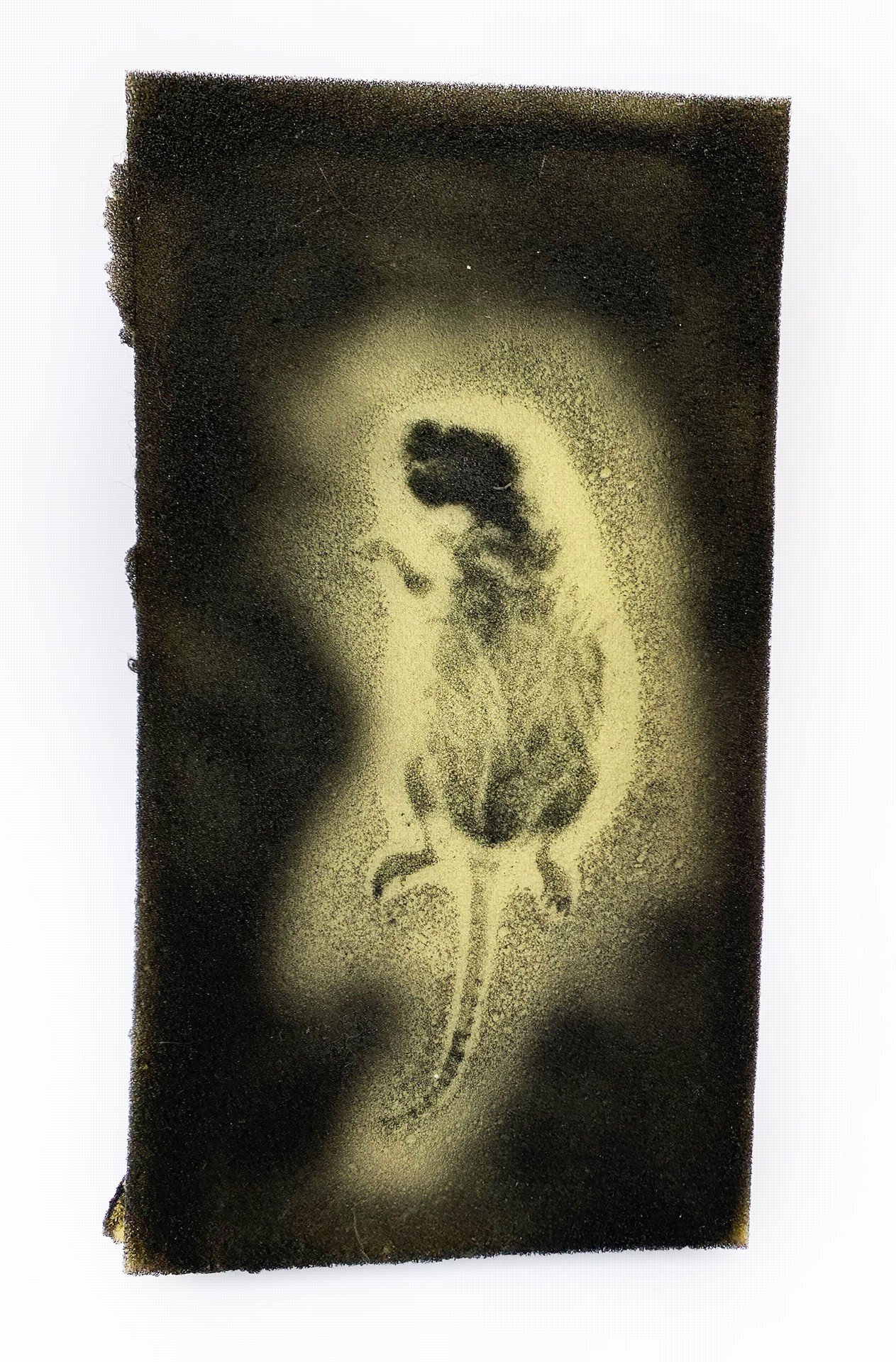 Photo of the work