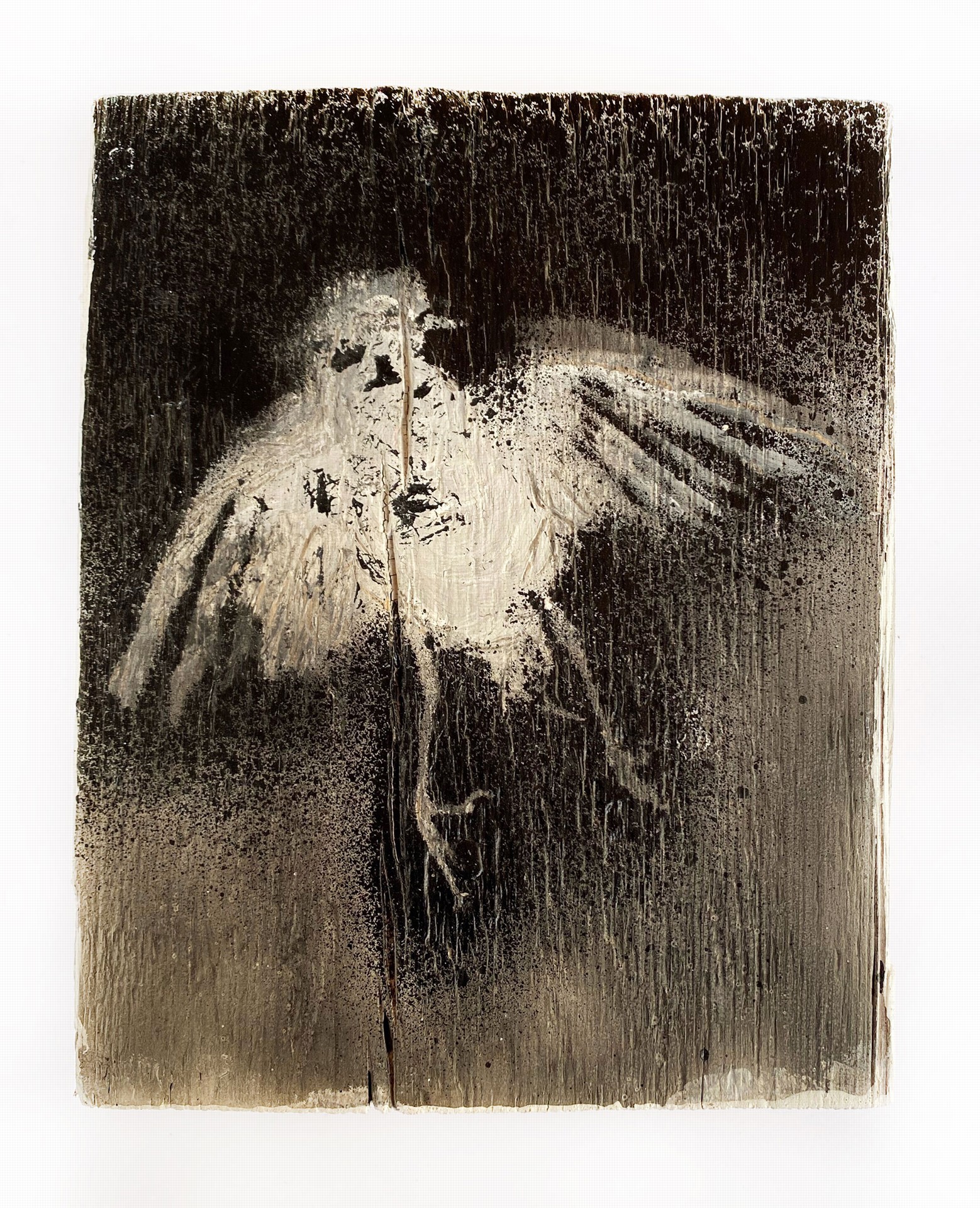 Photo of the work