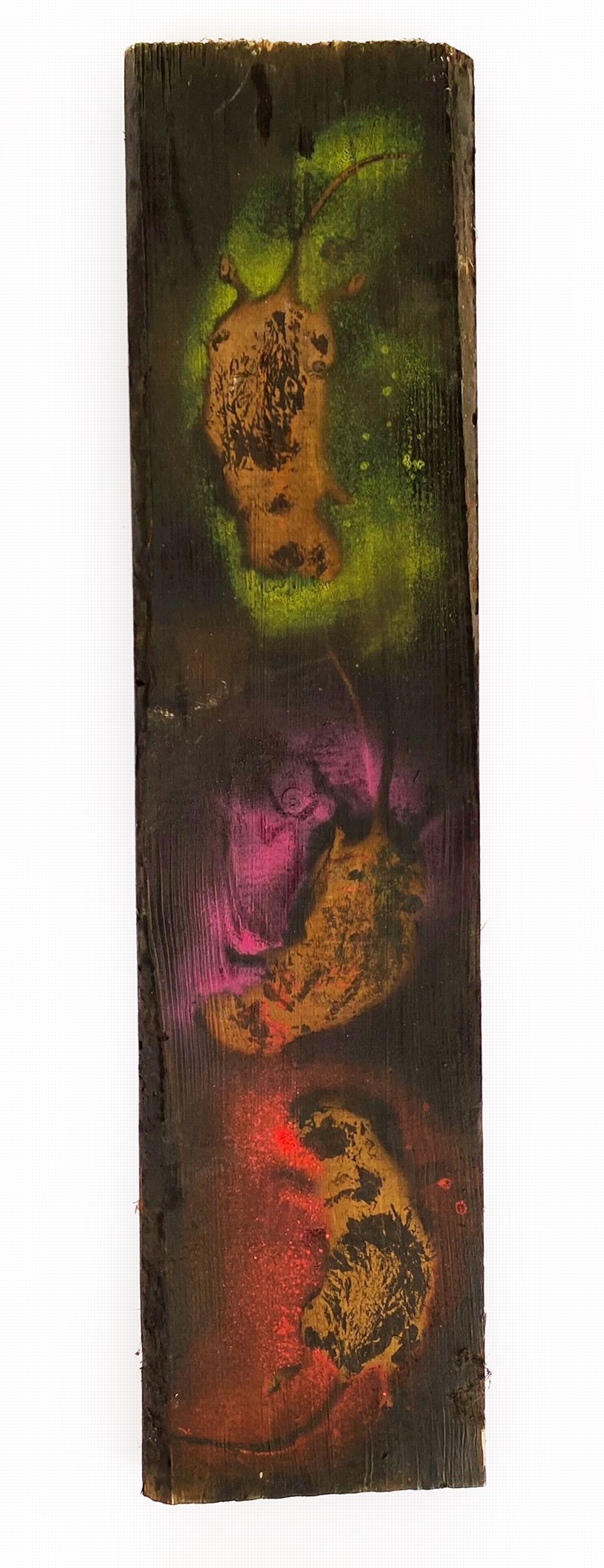 Photo of the work