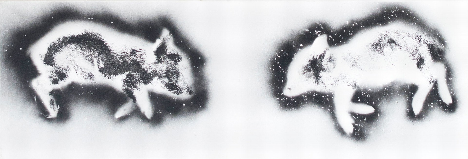 Photo of the work