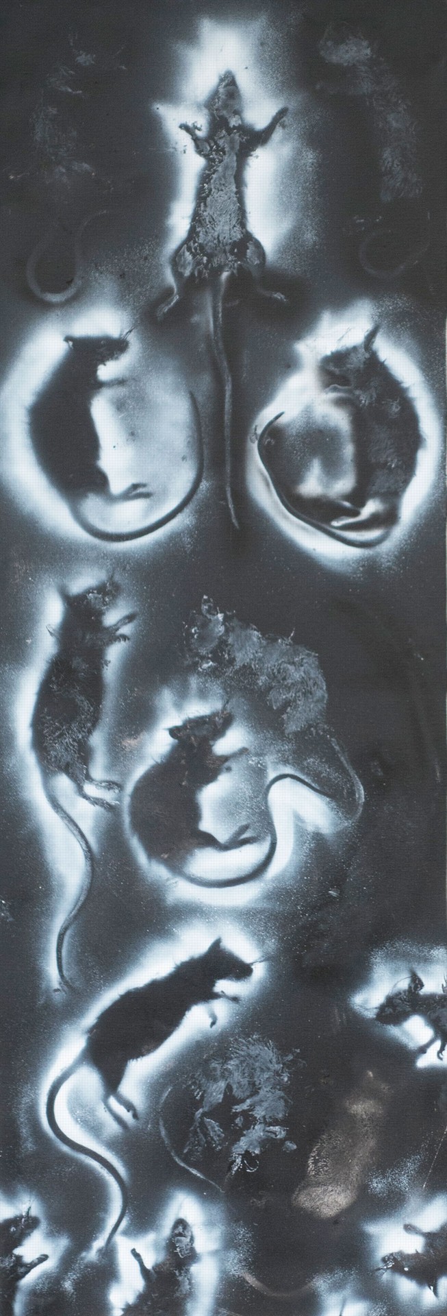 Photo of the work