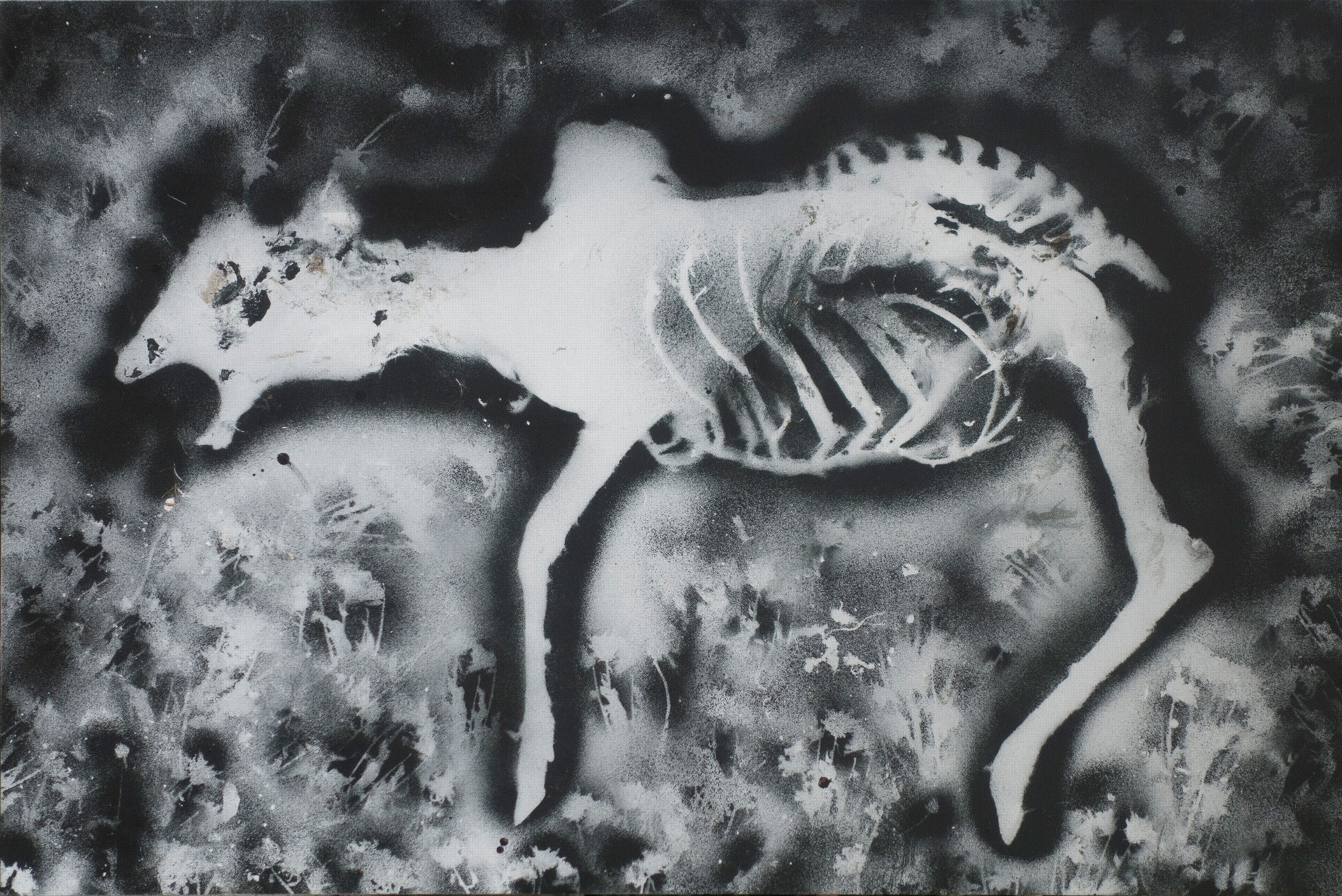 Photo of the work