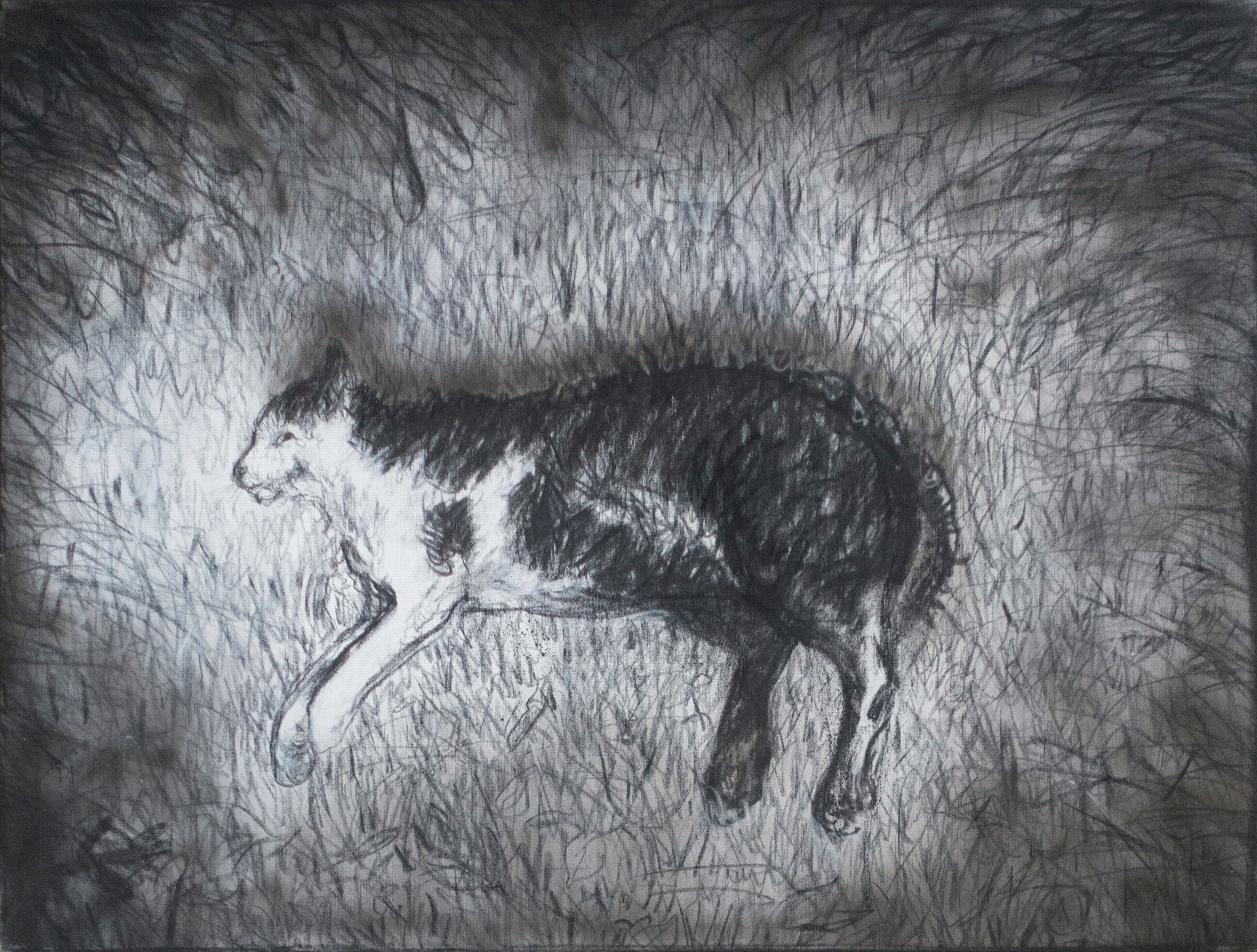 Photo of the work