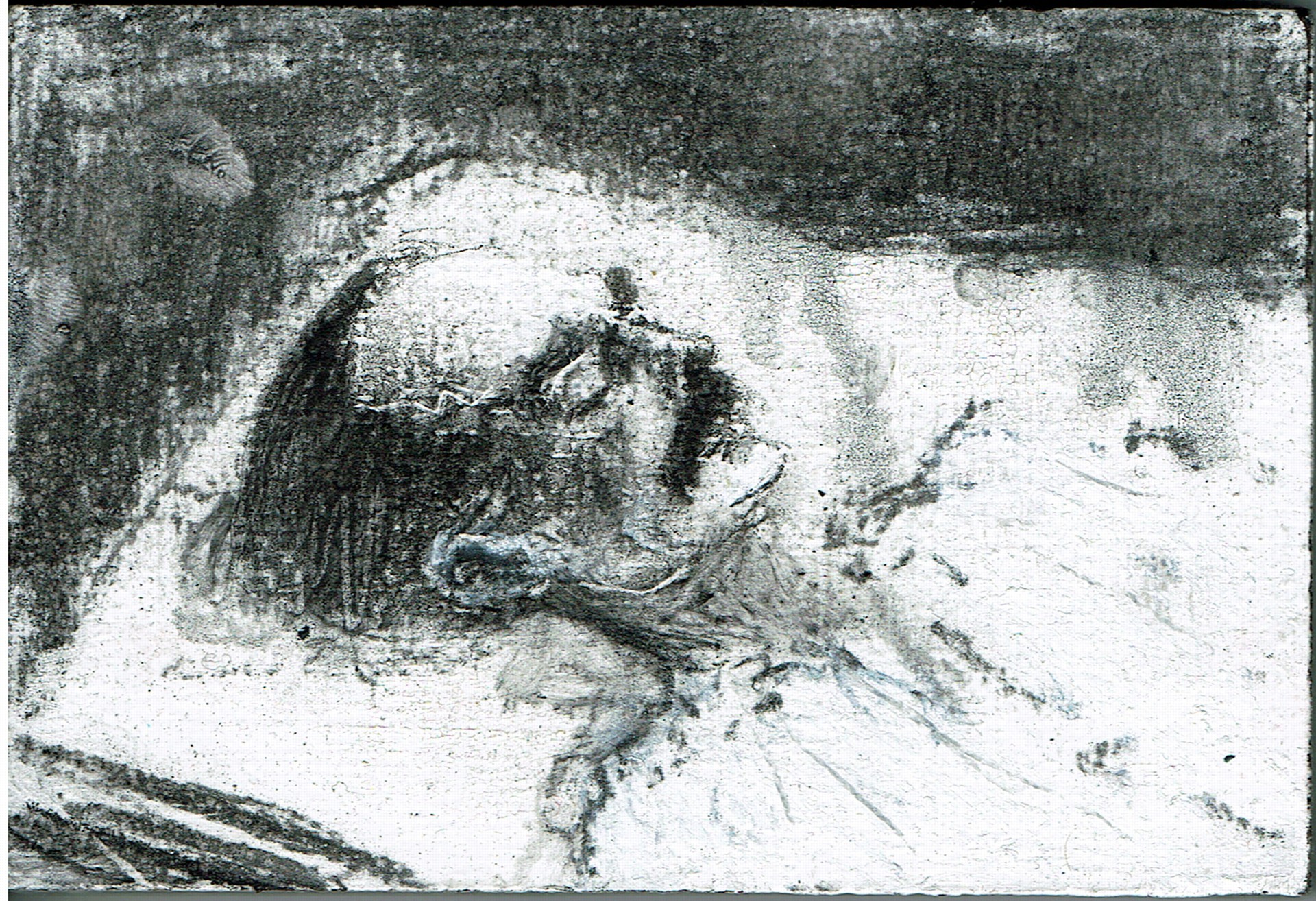 Photo of the work